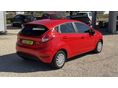 FORD FIESTA 2014/6 - 8
