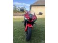 HONDA CBR 600 RR 2008 - 2