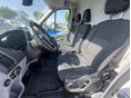 FORD TRANSIT 2018/6 - 6