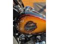 HARLEY-DAVIDSON TRI GLIDE ULTRA 2024/5 - 9