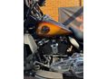 HARLEY-DAVIDSON TRI GLIDE ULTRA 2024/5 - 10