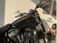 HARLEY-DAVIDSON LOW RIDER S 2024/8 - 3