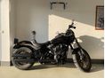 HARLEY-DAVIDSON LOW RIDER S 