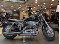 HARLEY-DAVIDSON SPORTSTER custom