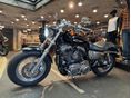 HARLEY-DAVIDSON SPORTSTER 2012/3 - 9