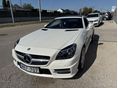 MERCEDES-BENZ SLK 250 2012/10 - 4