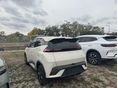 BYD DOLPHIN SURF 2025 - 2