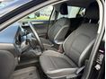 FORD FOCUS 2022/9 - 2