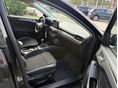 FORD FOCUS 2022/9 - 10