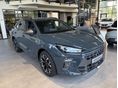 CUPRA TERRAMAR 2025/9 - 2