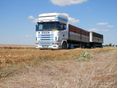 SCANIA 124/420