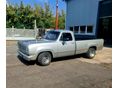 DODGE D 100 1974 - 6