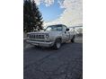 DODGE D 100 1974 - 3
