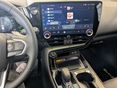 LEXUS NX 2025 - 8
