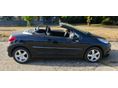 PEUGEOT 207 2010/11 - 3