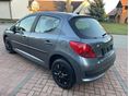 PEUGEOT 207 2008/3 - 4