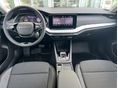 SKODA OCTAVIA 2025 - 5