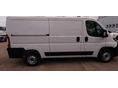 OPEL MOVANO 2025 - 3