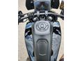 HARLEY-DAVIDSON PAN AMERICA 2021/8 - 3