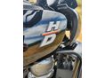 HARLEY-DAVIDSON PAN AMERICA 2021/8 - 8