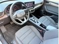 SEAT LEON 2022/1 - 7