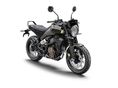 HUSQVARNA SVARTPILEN 125 2025 - 3