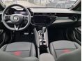ALFA ROMEO JUNIOR 2026 - 6