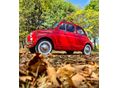 FIAT 500 1969 - 3