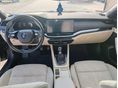 SKODA OCTAVIA 2021/6 - 6