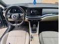 SKODA OCTAVIA 2021/6 - 8