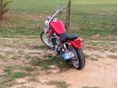 SUZUKI VS 600 (INTRUDER) 1996/4 - 10