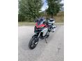 DUCATI MULTISTRADA 1260 2019/11 - 2