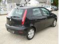 FIAT PUNTO 2003/1 - 3