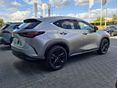 LEXUS NX 2025/3 - 6