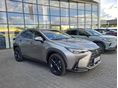 LEXUS NX 2025/3 - 2
