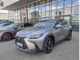 LEXUS NX 2025/3 - 3