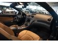 MERCEDES-BENZ SL 63 AMG 2009/9 - 7