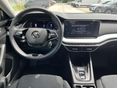 SKODA OCTAVIA 2024/2 - 8