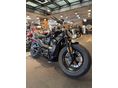 HARLEY-DAVIDSON SPORTSTER S 2025/3 - 5
