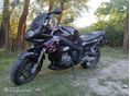 TRIUMPH SPRINT RS 2000/12 - 1
