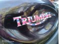 TRIUMPH SPRINT RS 2000/12 - 3