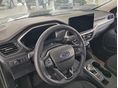 FORD KUGA 2025/8 - 5