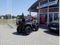 ODES PATCHCROSS 2025/8 - 4