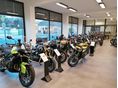 TRIUMPH EGYÉB 2025/9 - 6