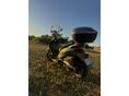 PIAGGIO BEVERLY 500 2003/6 - 5