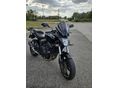 HONDA CB 600 F (HORNET) 2009/10 - 2