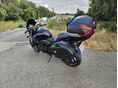 HONDA CB 600 F (HORNET) 2009/10 - 6