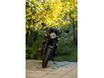 YAMAHA XJR 1300 2015/7 - 8