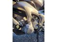 YAMAHA FZ6-S (FAZER) 2005/8 - 9
