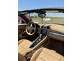 PORSCHE BOXSTER 2014/12 - 9